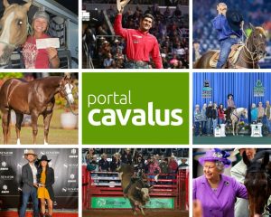 Confira o Top 5 do portal Cavalus em 2022