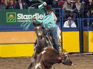 Junior Nogueira volta a somar dólares no 64º National Finals Rodeo