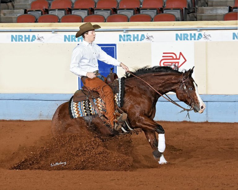 Programa de incentivo Chrome Cash premia Paint Horses no NRHA Futurity 2022