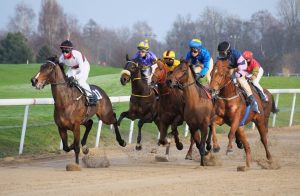 Ministério da Agricultura, Pecuária e Abastecimento autoriza Jockeys Clubs a promoverem Corridas com apostas