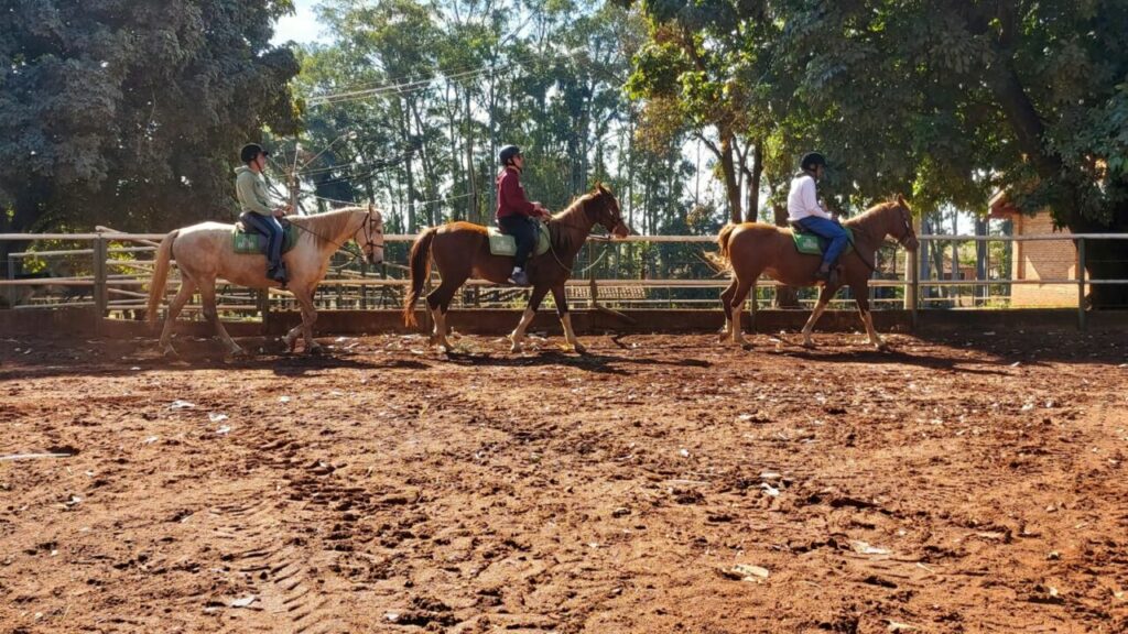 2ª Copa de Maneabilidade Adaptada utiliza cavalos Mangalarga em Pontal (SP)

