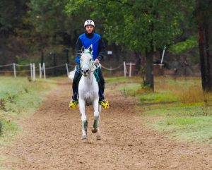 André Vidiz comemora quarta posição no FEI Endurance Open Riders World Ranking