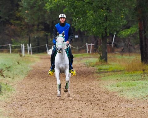 André Vidiz comemora quarta posição no FEI Endurance Open Riders World Ranking