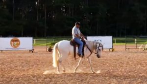 Aprenda dois exercícios que deixam o cavalo com a boca mais leve