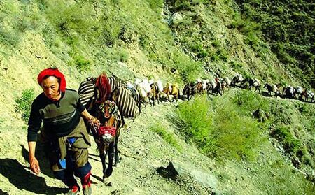 Cavalgada no sudoeste da China: O chá chinês e os cavalos tibetanos