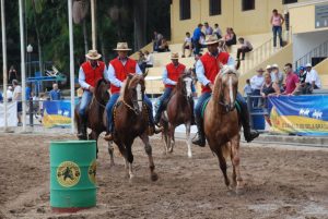 Cavalo é um dos principais personagens da história da cidade de São Paulo (SP)