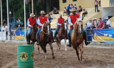 Cavalo é um dos principais personagens da história da cidade de São Paulo (SP)