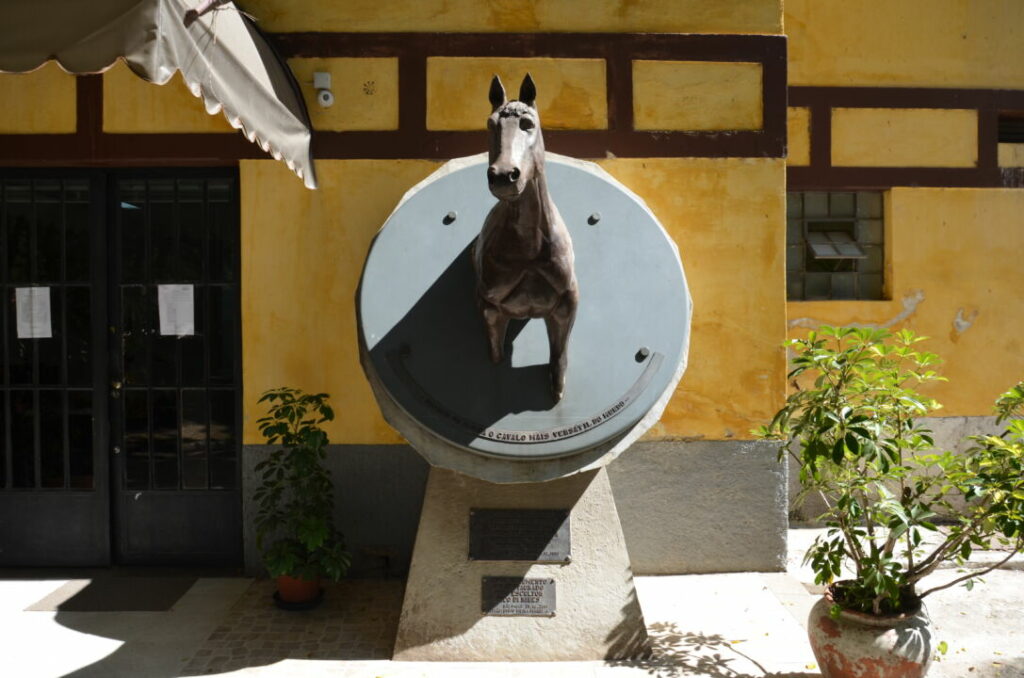 Cavalo é um dos principais personagens da história da cidade de São Paulo (SP)