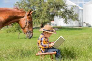 Confira 3 dicas de livros escritos por cavaleiros e amazonas