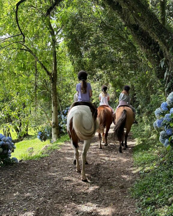 Gisele Bündchen é fotografada cavalgando na Costa Rica com suposto affair