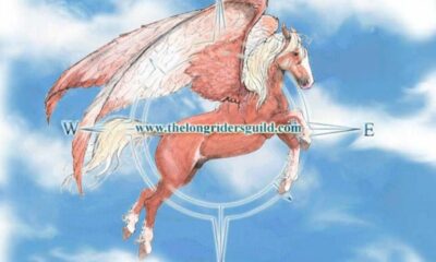 Long Riders Guild - um presente aos amantes do cavalo