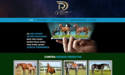 Plataforma de venda on-line de cavalos já está em funcionamento