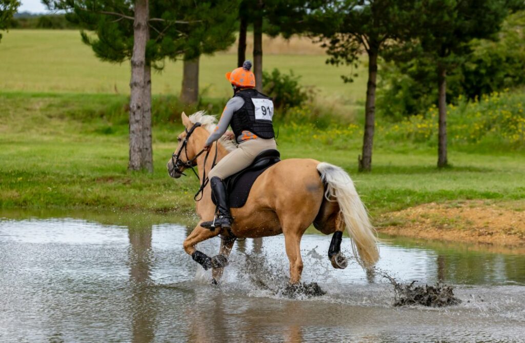 Seu cavalo tem medo de passar pela água