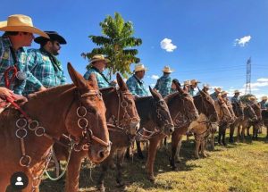 Tradicional Encontro de Muladeiros de Iporá (GO) começa hoje (24/01)