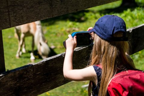 Volta às aulas: como escolher a mochila ideal para o meu filho?
