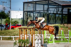 Ranking de Cavalos Novos 2023 reforça o fomento da criação nacional