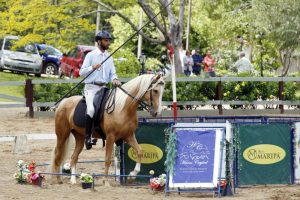 Associação da Raça Mangalarga e ABET firmam acordo de cooperação esportiva