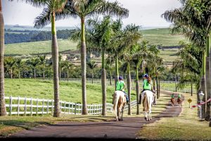 Botucatu (SP) abre o calendário de Mangalargadas de 2023