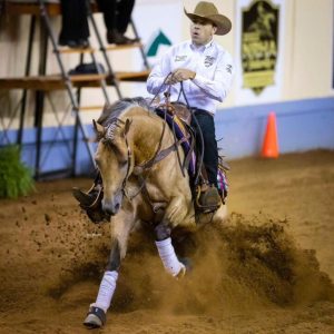 Fernando Salgado está habilitado para o The American Performance Horseman