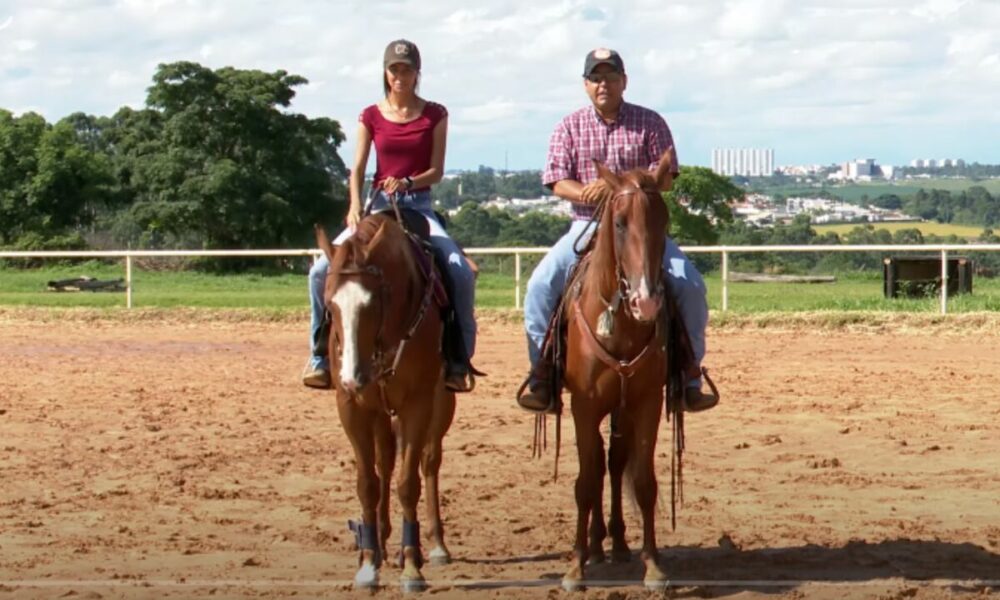 TV UC ensina técnica para treinar cavalos nos Três Tambores