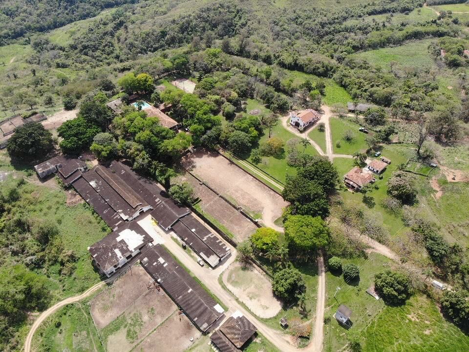Fazenda Capim Fino cresce e se torna principal espaço para alojamento de cavalos na região de Campinas (SP)