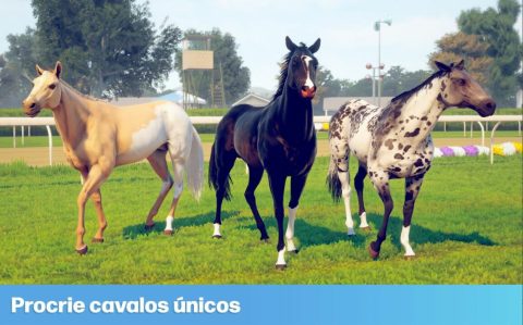 Jogo de corrida de cavalos viraliza na internet e conquista novos amantes de equinos