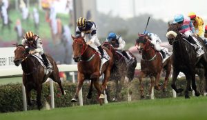 Retomada do calendário de provas equestres exige cuidados com os cavalos