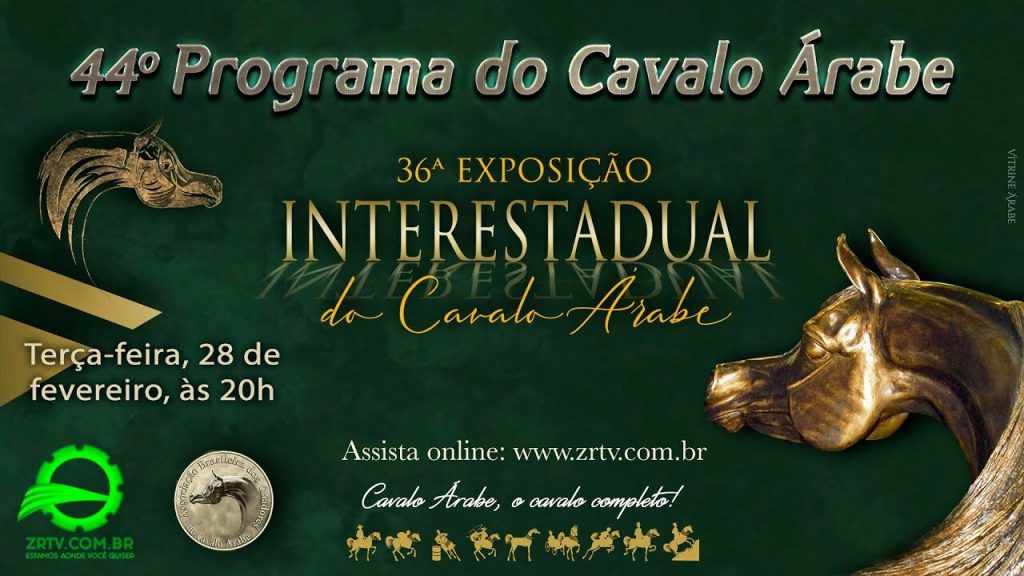 Programa Cavalo Árabe 44 – 36ª Interestadual do Cavalo Árabe