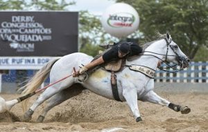 Recorde de inscrições marca Congresso Brasileiro, Derby e Copa dos Campeões de Vaquejada