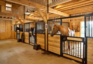 Segurança da cocheira é um ponto primordial