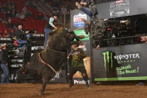 Touros roubam a cena no Ty Murray Invitational da PBR