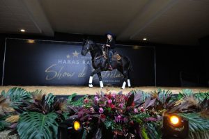 Disputas lote a lote marcam o 11º Leilão Show de Estrelas do Haras Raphaela