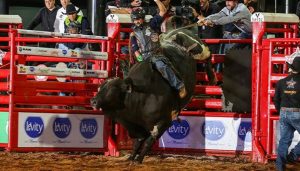 Araçoiaba da Serra recebe 3ª etapa da temporada 2023 da PBR Brazil