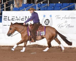 Pedro Baião vence Cactus Reining Open Stakes nos Estados Unidos