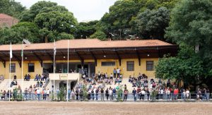 36ª Exposição Interestadual do Cavalo Árabe leva mais de 3 mil pessoas ao Parque da Água Branca