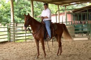 Seguir a mão é o segredo para um cavalo com a boca leve