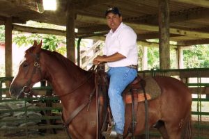 Seu cavalo sabe andar com as rédeas solta?