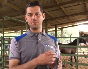 TV UC ensina como adaptar ferraduras dos pés nas mãos