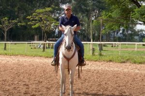 TV UC ensina como retornar os trabalhos com os cavalos