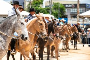 1º Encontro de Muladeiros traz resgate da cultura tropeira a Cabreúva (SP)