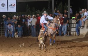 Adrenalina em cada laçada marca 1ª etapa do Campeonato Mineiro de Laço Individual