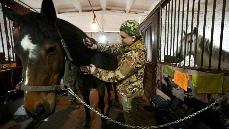 Equoterapia traz alivio aos soldados ucranianos