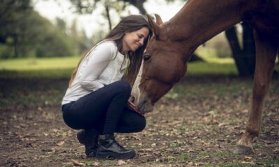 Coach argentina Gloria Juri ministra curso sobre Desenvolvimento Pessoal com Cavalos