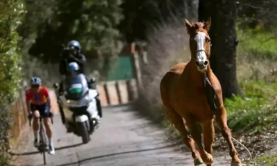 Cavalo invade corrida de ciclismo na Itália