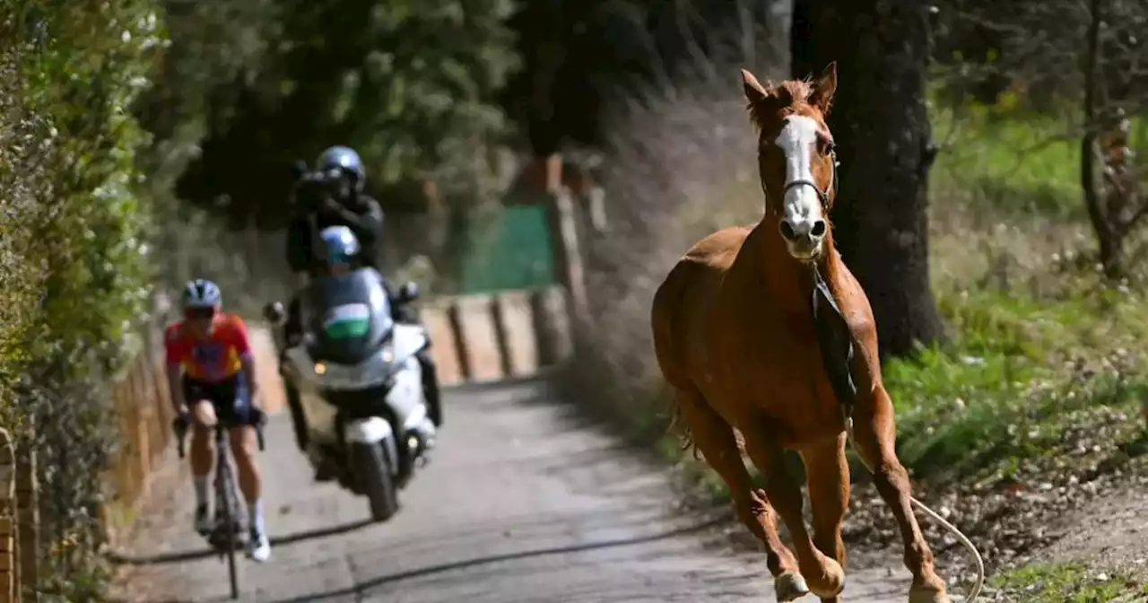 Cavalo invade corrida de ciclismo na Itália
