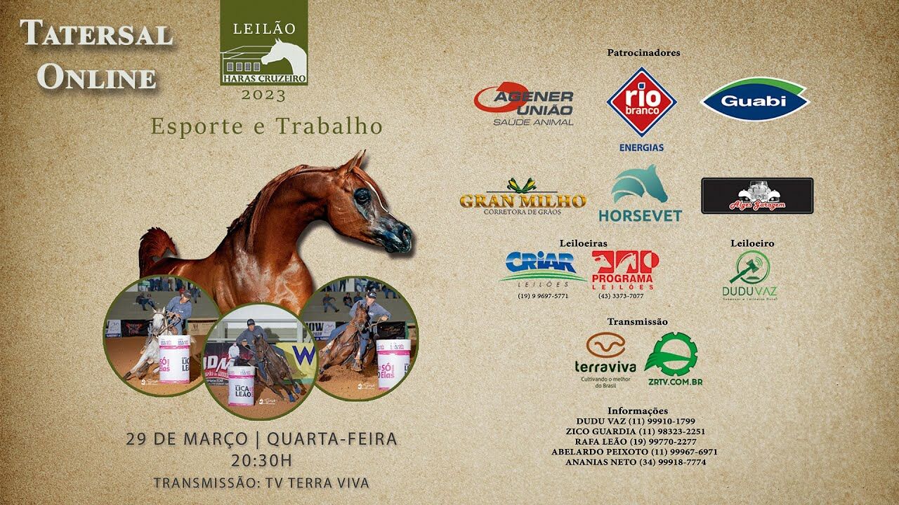 Tatersal Online – Leilão Haras Cruzeiro Esporte e Trabalho 2023