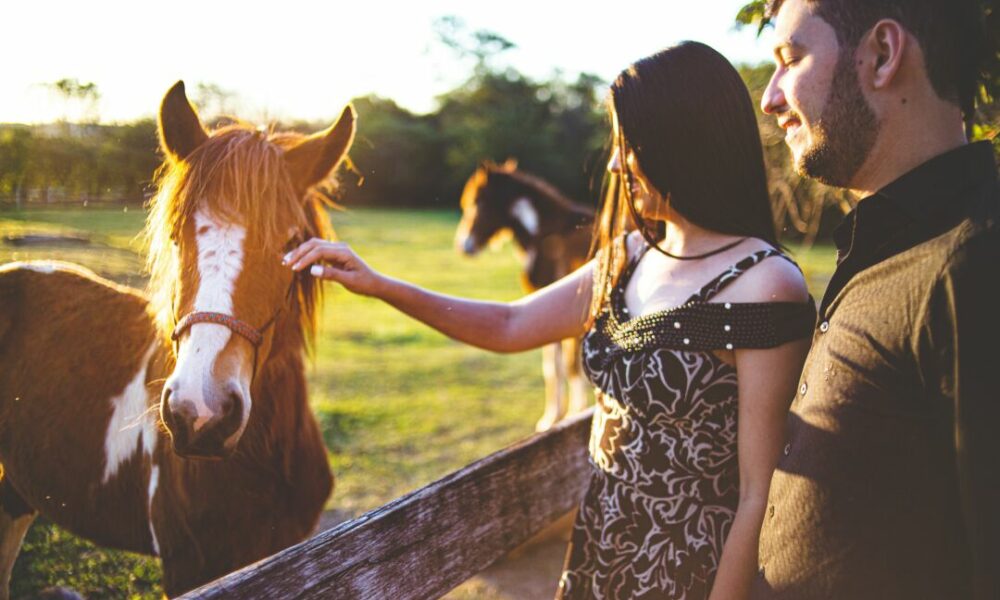 Pesquisadores revelam que cavalos conseguem reconhecer de maneira cruzada homens e mulheres