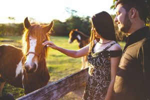 Pesquisadores revelam que cavalos conseguem reconhecer de maneira cruzada homens e mulheres