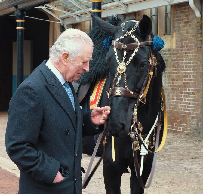 Rei Charles III ganha égua e animal viaja do Canadá ao Reino Unido de avião