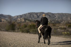 Pesquisadores encontraram os primeiros homens que montaram cavalos